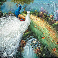 Схема вышивки «павлин»