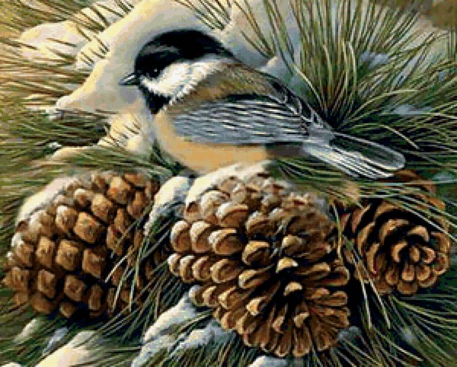 птичка - предпросмотр