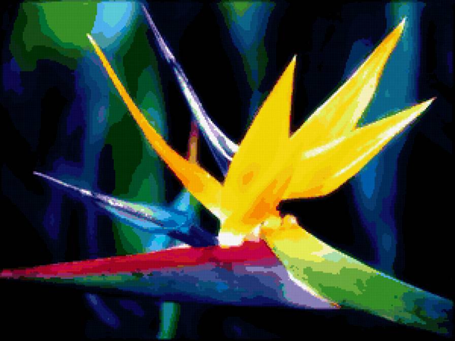 Стрелиция (Райская птица) - цветы, цветок - предпросмотр