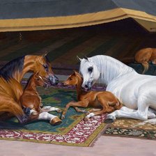 Схема вышивки «№252080»