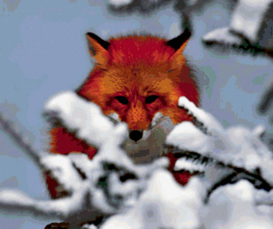 Рыжая плутовка - лиса, животные, природа, зима - предпросмотр