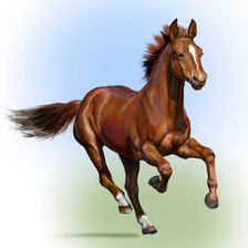 Схема вышивки «лошадка»