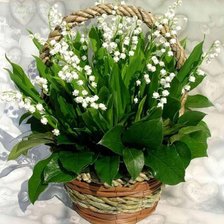 Схема вышивки «ландыши»