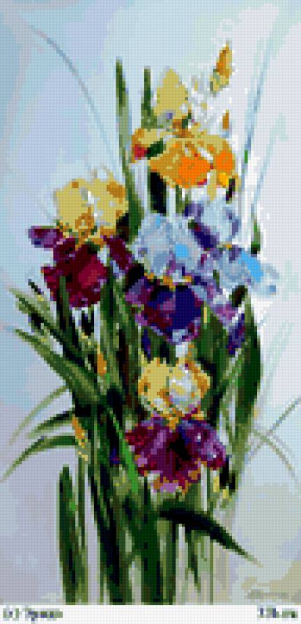 ирисы2 - ирисы, цветы - предпросмотр