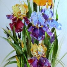 ирисы2