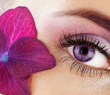 Схема вышивки «№252402»