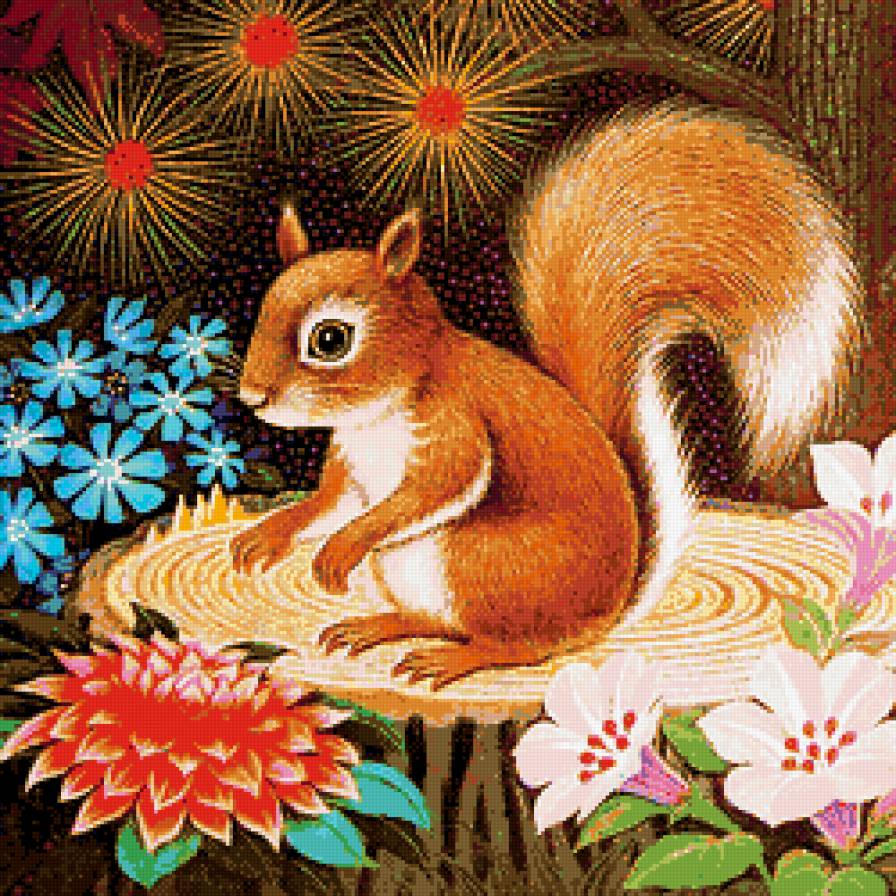 белочка - белочка, животные - предпросмотр