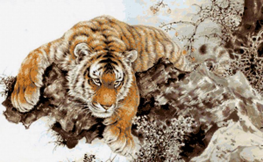 Tigr - предпросмотр