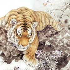 Схема вышивки «Tigr»