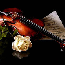 Схема вышивки «скрипка»