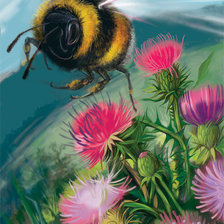 Схема вышивки «шмель»