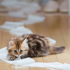 Схема вышивки «№252702»