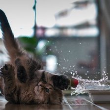 Схема вышивки «№252704»