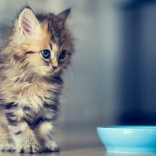 Схема вышивки «№252705»