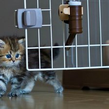 Схема вышивки «№252709»