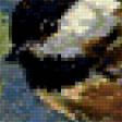 Предпросмотр схемы вышивки «Синицы и сирень» (№252737)