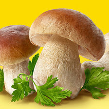 Схема вышивки «shrooms»