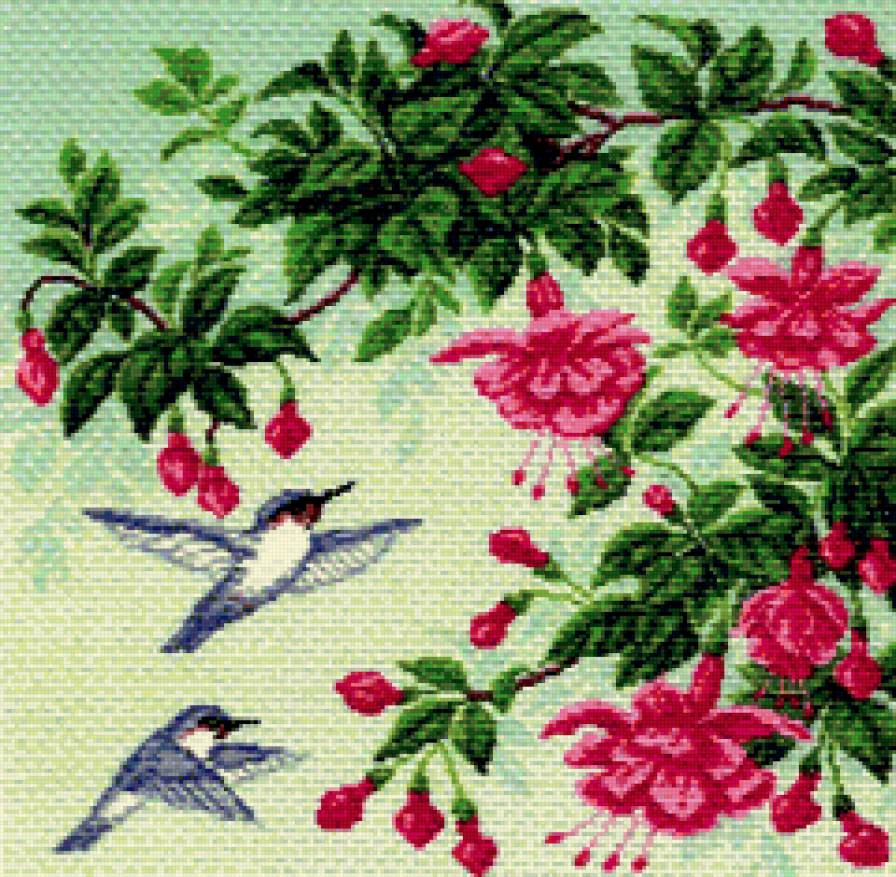 колибри и фуксия - цветы, птицы - предпросмотр