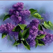 Схема вышивки «№252775»