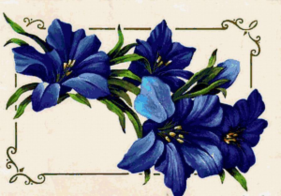 №252778 - предпросмотр