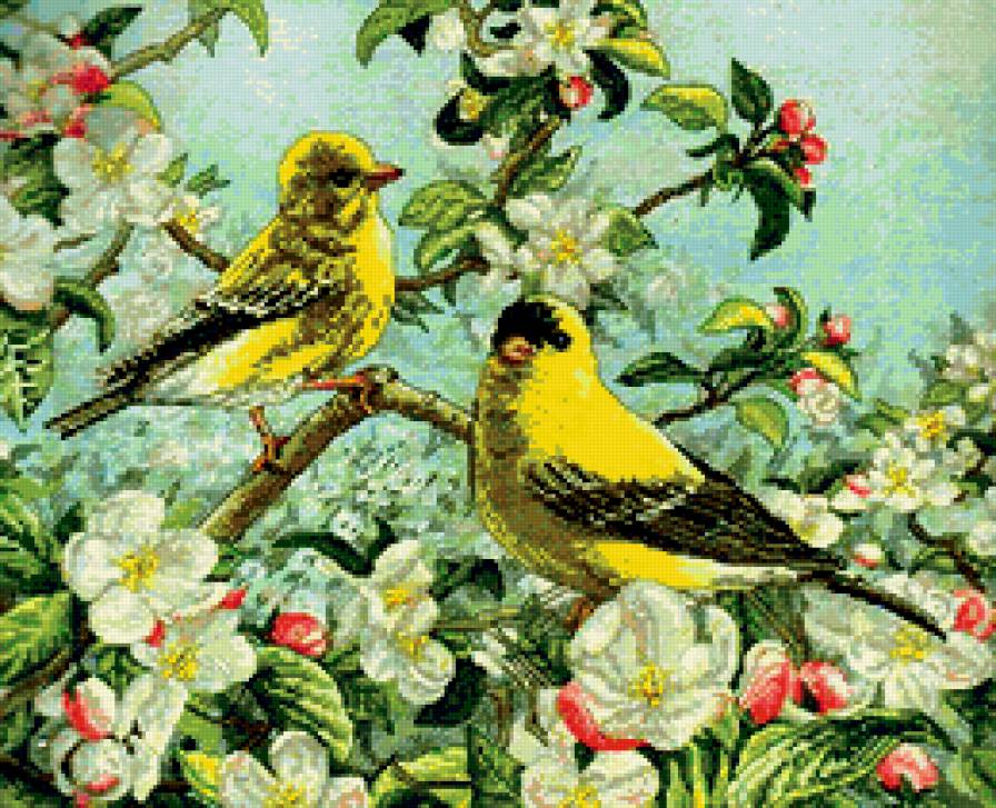 Яблоневый цвет - птицы, цветы - предпросмотр