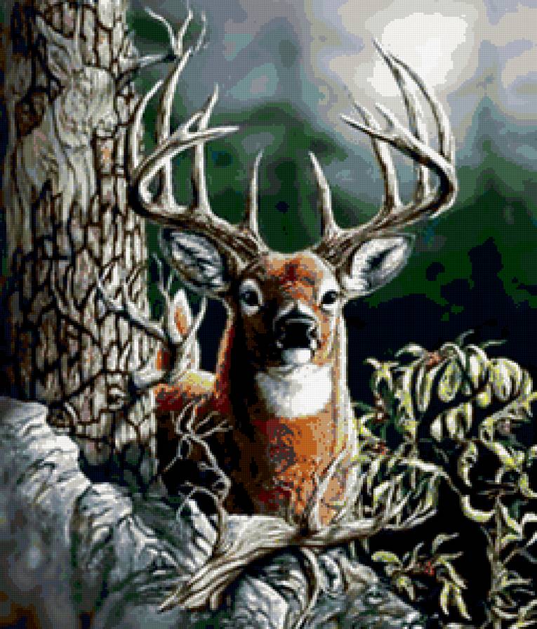 Олень - олень, животные, природа - предпросмотр