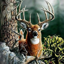 Схема вышивки «Олень»