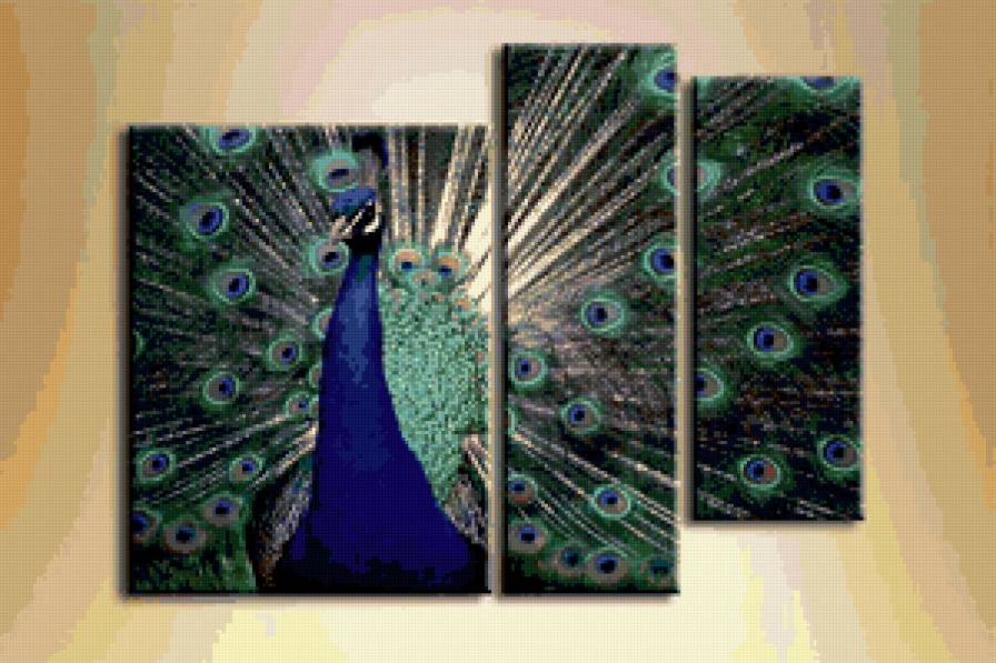 Триптих - триптих, птица, птицы, павлин - предпросмотр