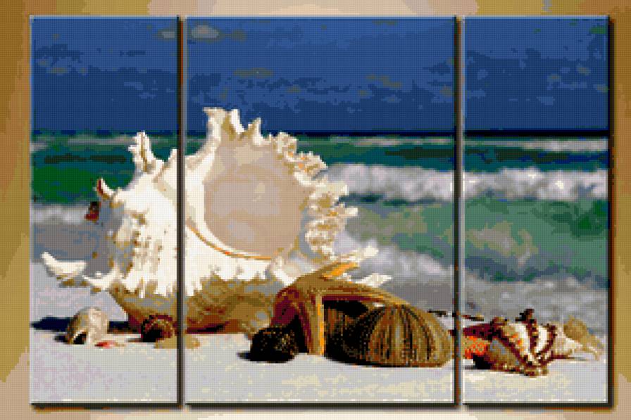 Триптих - волна, ракушки, природа, море, триптих - предпросмотр