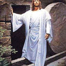 Схема вышивки «№252999»