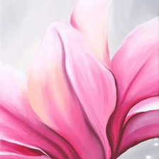 магнолии больше 3