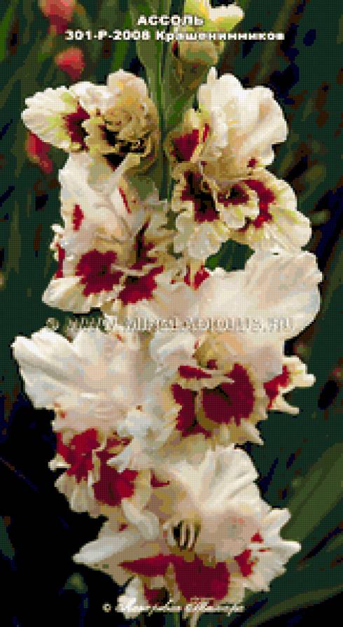 №253130 - предпросмотр