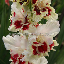 Схема вышивки «№253130»