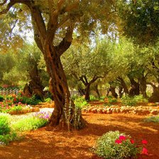 Схема вышивки «№253332»