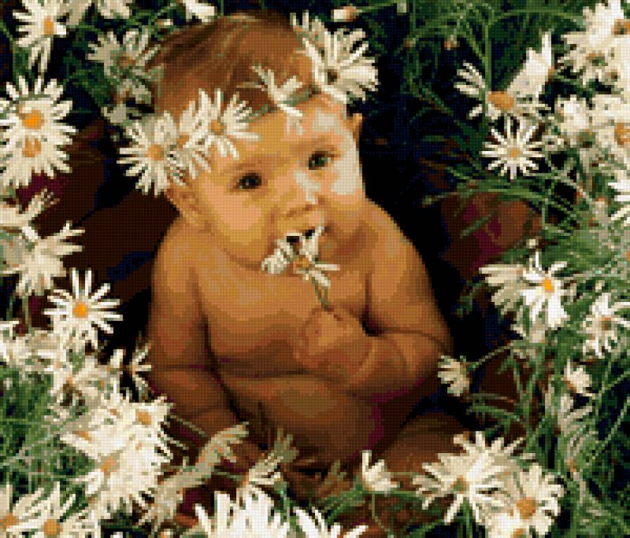 РОМАШКИ - предпросмотр