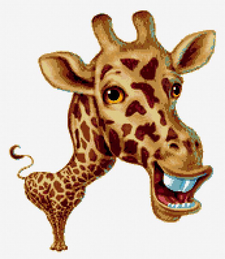 жипаф - юмор, животные - предпросмотр