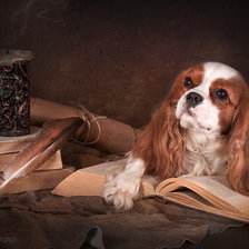 Схема вышивки «№253373»