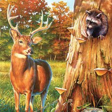 Схема вышивки «олень и енот»