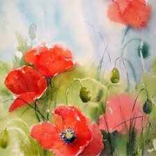 Схема вышивки «Маки2»