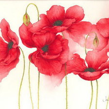 Схема вышивки «Маки4»