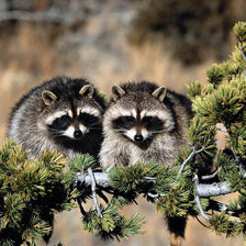 Схема вышивки «44»