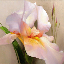 Схема вышивки «ирис»