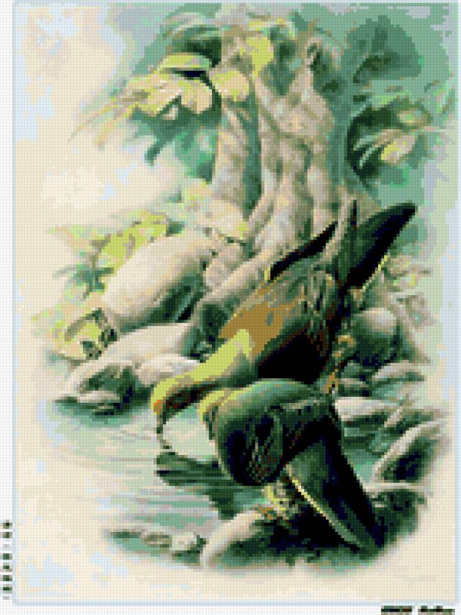 птицы - природа картина птицы - предпросмотр