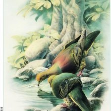 Схема вышивки «птицы»