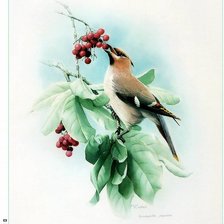 Схема вышивки «птичка на ветке»