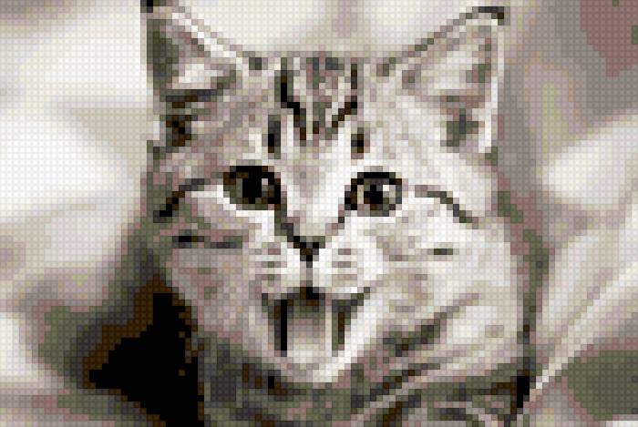 №253673 - предпросмотр