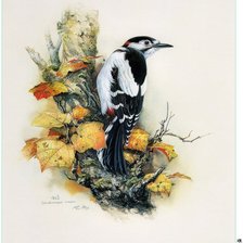 Схема вышивки «дятел»