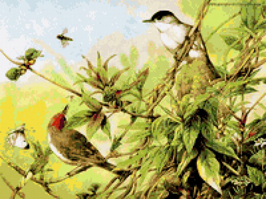 беседа птиц - природа птицы картина - предпросмотр