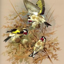 Схема вышивки «птицы»