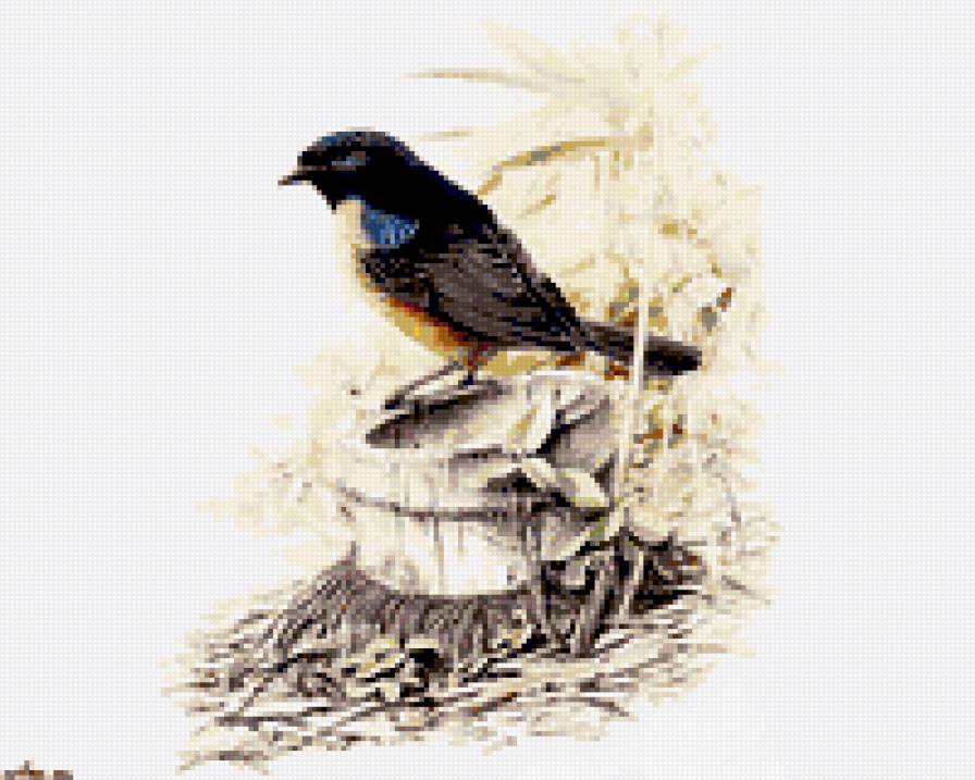 птичка на пенечке - природа картина птица - предпросмотр